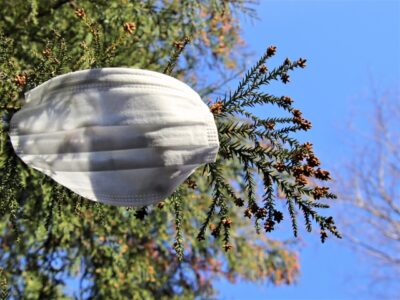 【薬剤師監修】高齢者、介護者が知っておくべき花粉症の知識